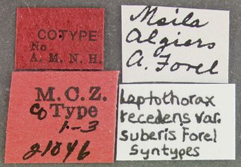 Media type: image; Entomology 21046   Aspect: labels